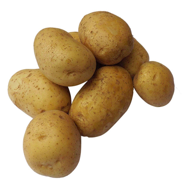 Fresh Egyptian Potatoes (PRICE/TON)