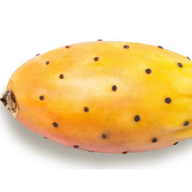Egyptian Barbary Fig (Prickly Pear) price/TON