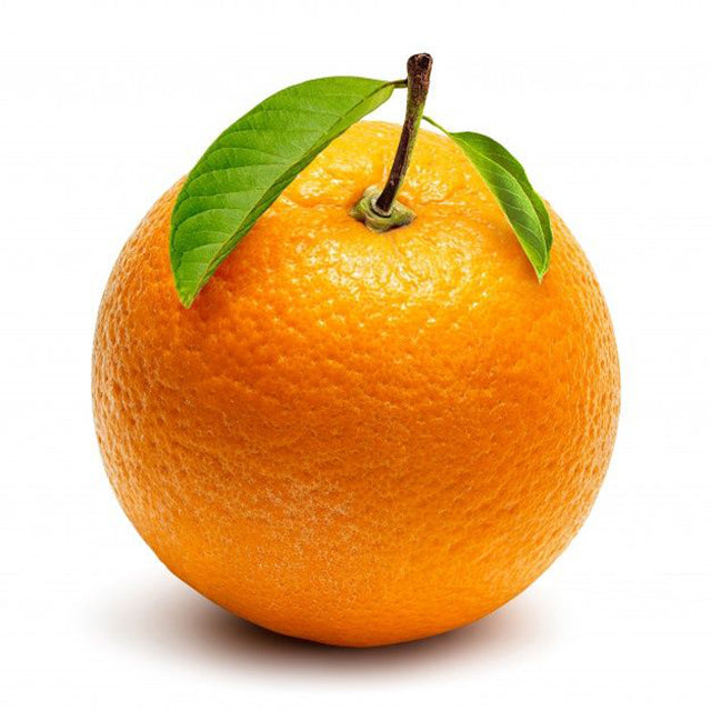 Egyptian Fresh Oranges (PRICE/TON)