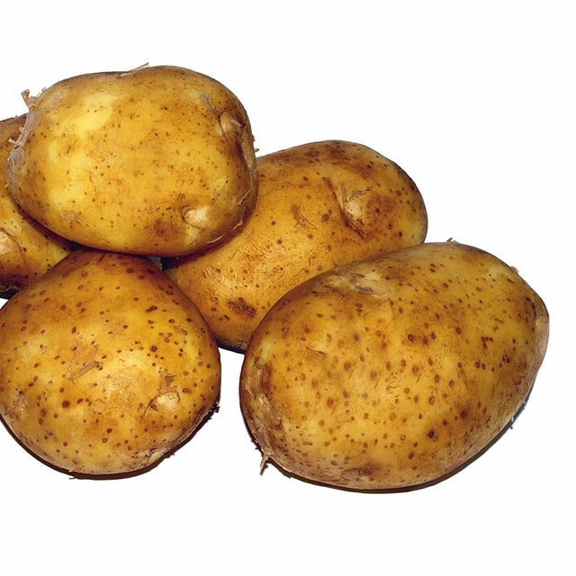 Fresh Egyptian Potatoes (PRICE/TON)
