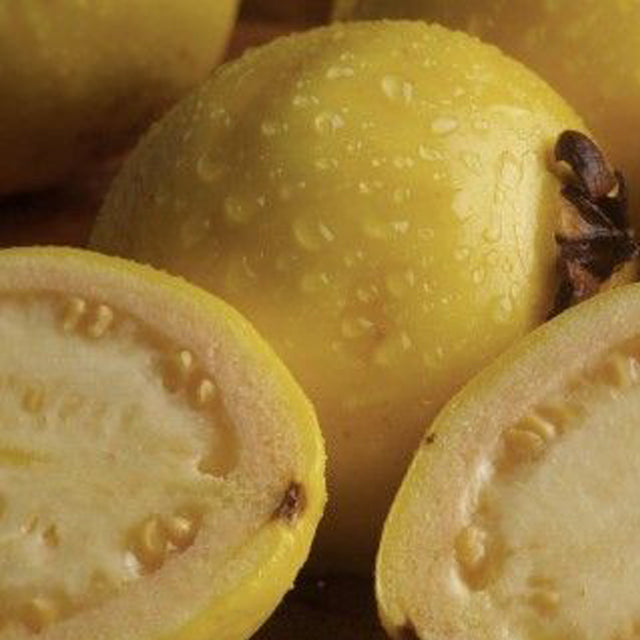Fresh Egyptian Guava (price/ton)