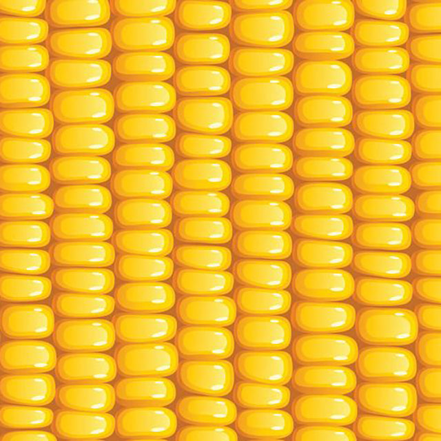 Egyptian Sweet Corn (PRICE/TON)