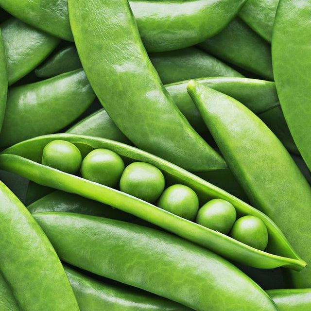 Fresh Egyptian Green Peas (price/ton)