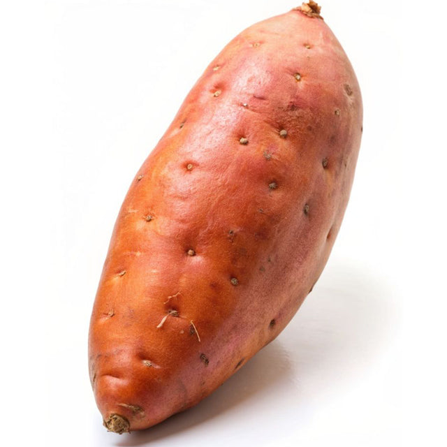 Egyptian Sweet Potato (PRICE/TON)