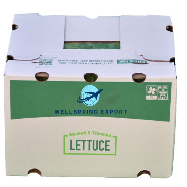Fresh Egyptian Lettuce (PRICE/TON)