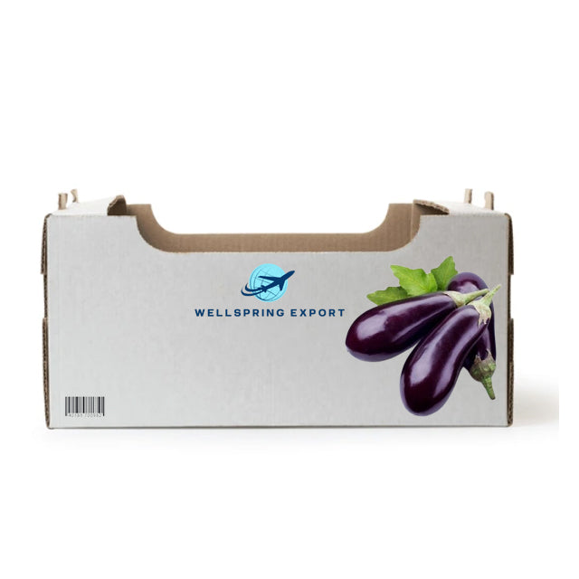 Fresh Egyptian Eggplant (price/ton)