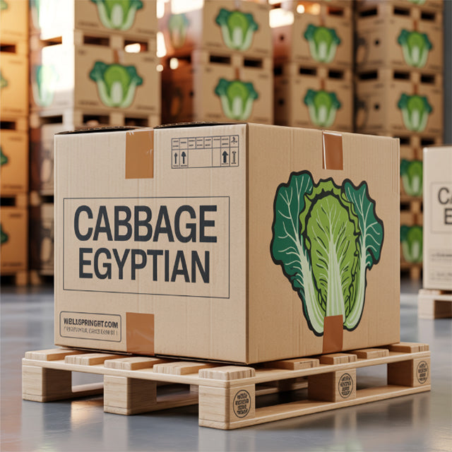 fresh Egyptian Cabbage (price/unit)