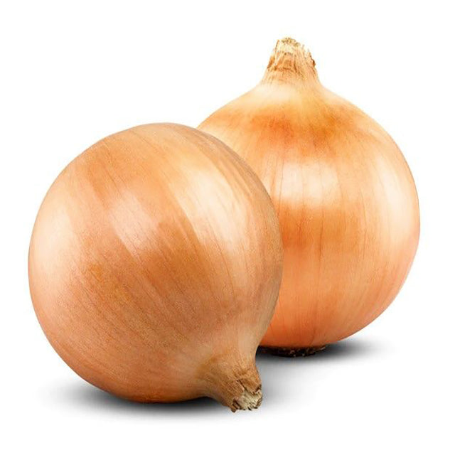 Fresh Yellow Onion (Allium cepa) (price/ton)