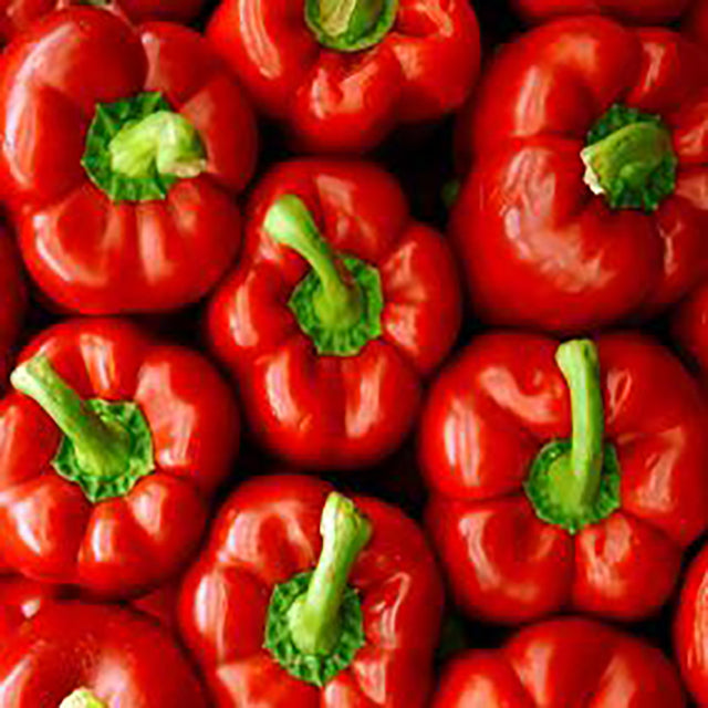 Egyptian Red Pelly Pepper (PRICE/TON)