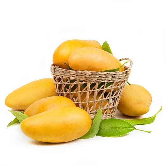 Egyptian Mango Export (price / ton )