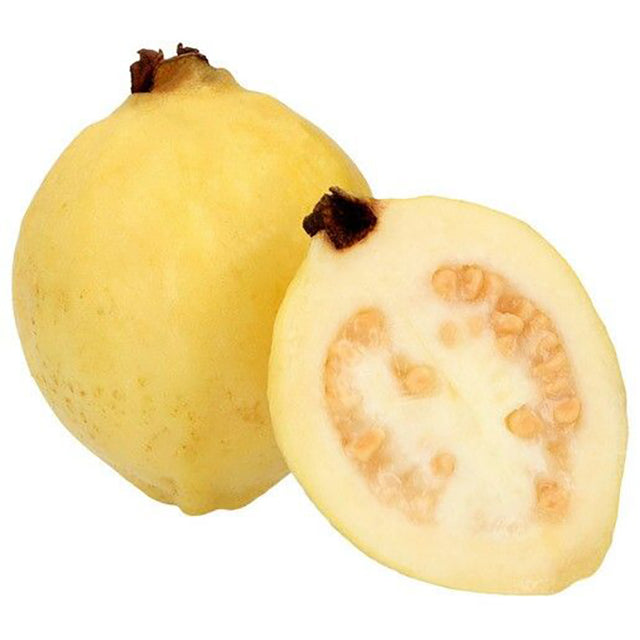 Fresh Egyptian Guava  (price/ton)