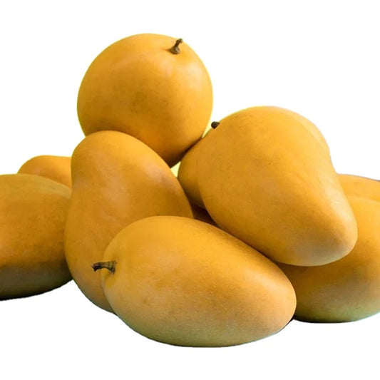 Egyptian Mango Export (price / ton )