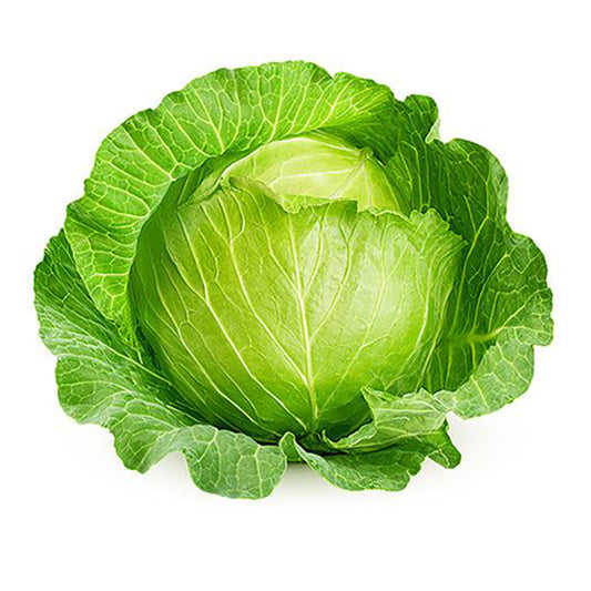 fresh Egyptian Cabbage (price/unit)