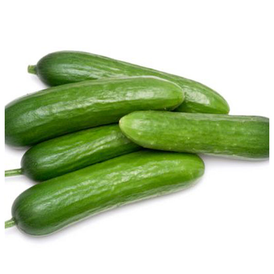 Fresh Egyptian Cucumbers (price/ton)
