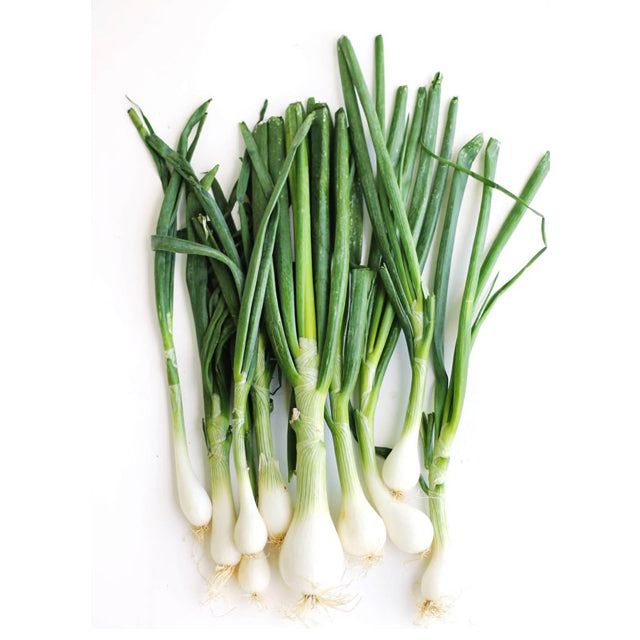 Egyptian Spring Onion (price/ton)