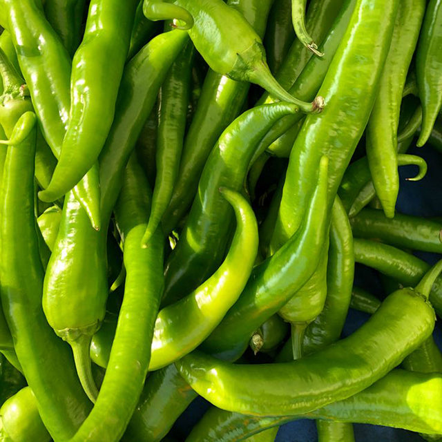 Egyptian Green Chilli (price/ton)