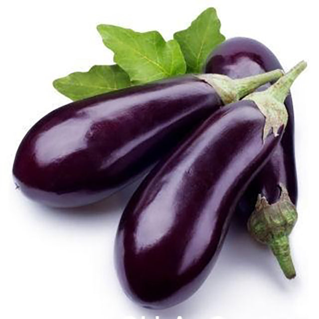 Fresh Egyptian Eggplant (price/ton)