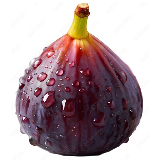 Egyptian Fresh Fig (Ficus carica) price/ton