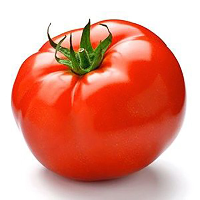 Fresh Egyptian Tomatoes (PRICE/TON)