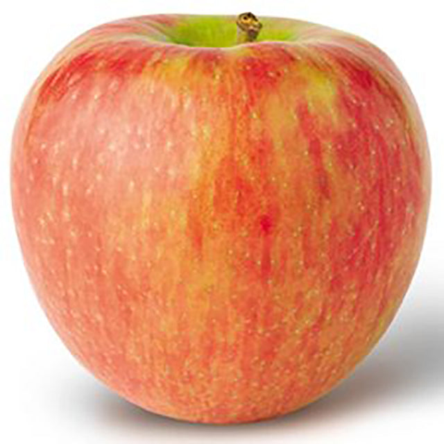Fresh Egyptian Apples (price/ton)
