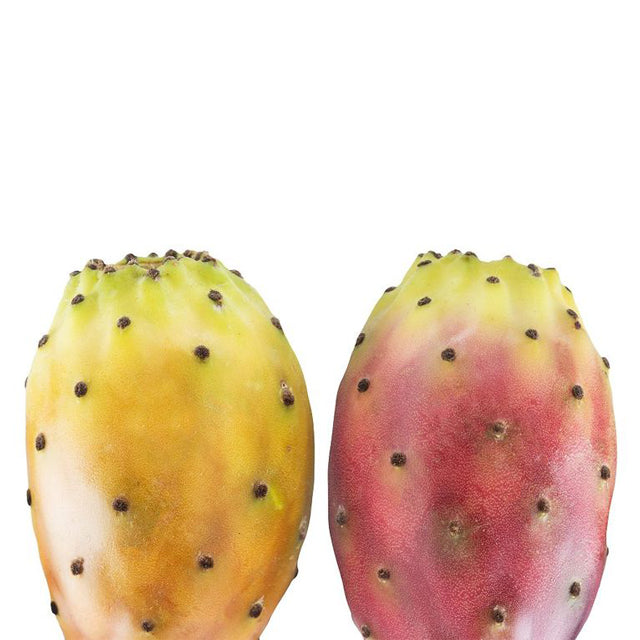 Egyptian Barbary Fig (Prickly Pear) price/TON