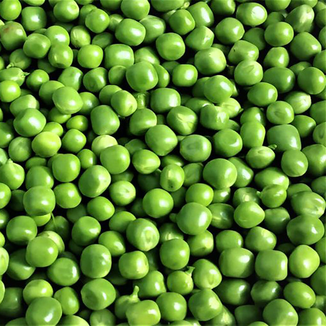Fresh Egyptian Green Peas     (price/ton)