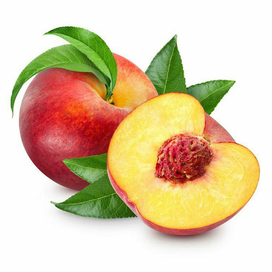 Egyptian Peach Export (PRICE/TON)