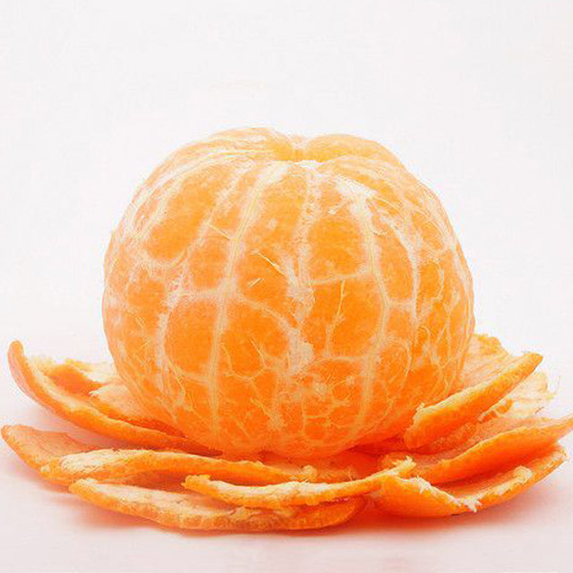 Egyptian Tangerine Export (price/ton)