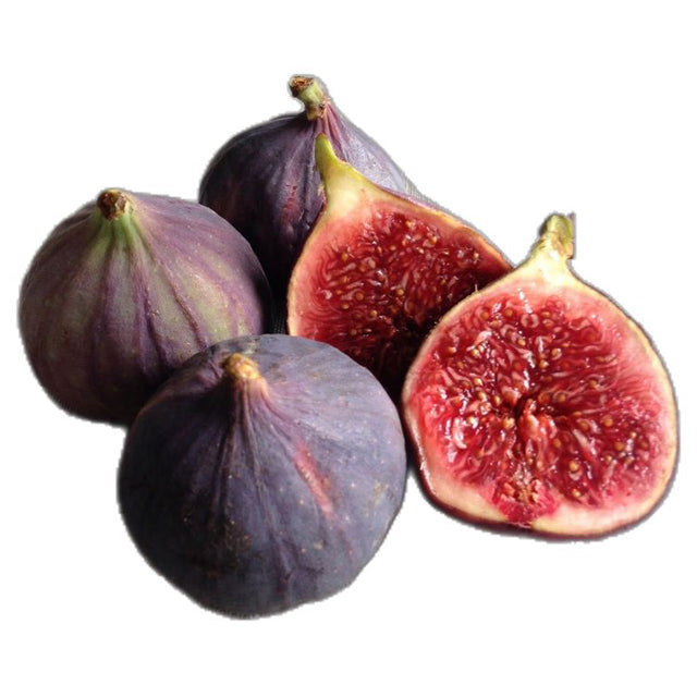 Egyptian Fresh Fig (Ficus carica) price/ton