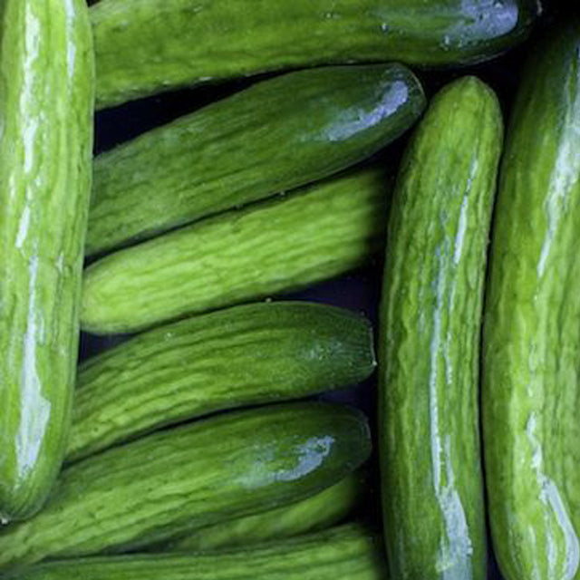 Fresh Egyptian Cucumbers (price/ton)