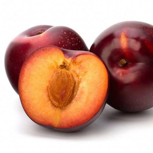 Fresh Egyptian Plum Red Beauty (price/ton)