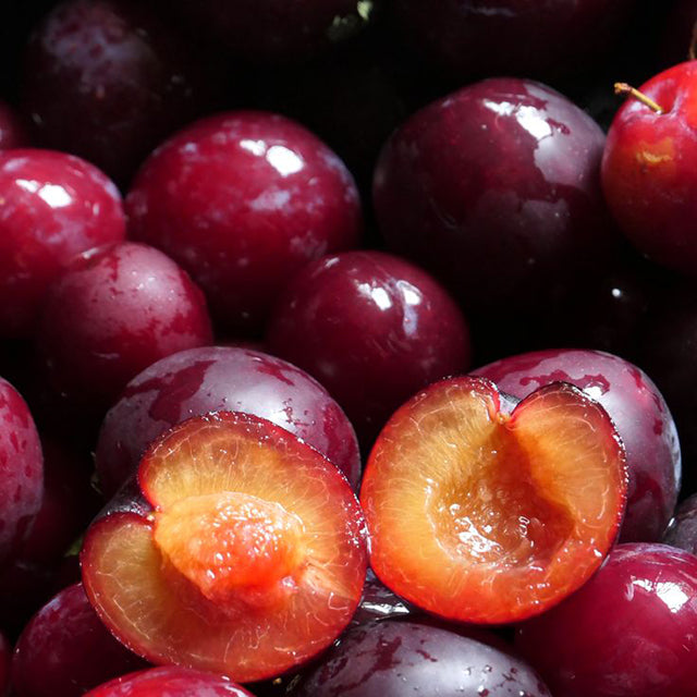 Fresh Egyptian Plum Red Beauty (price/ton)