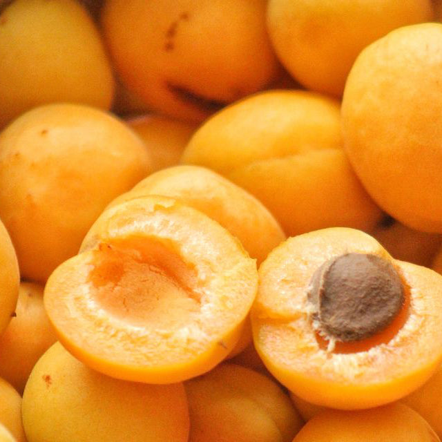 Fresh Egyptian Apricot (price/ton)