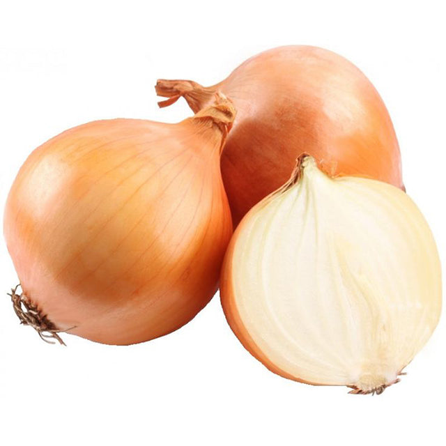 Fresh Yellow Onion (Allium cepa) (price/ton)