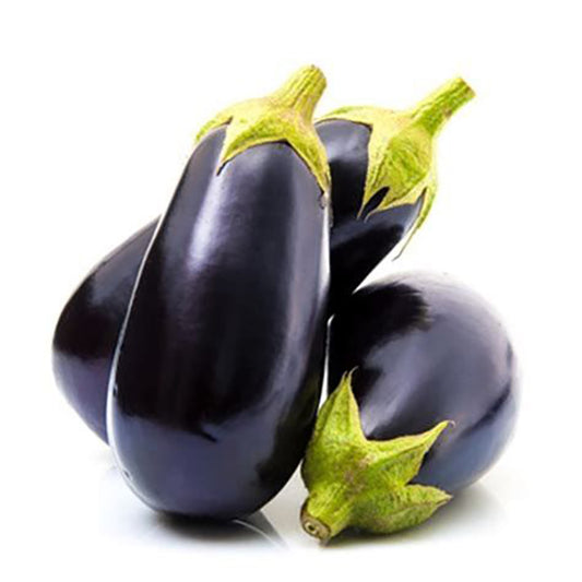 Fresh Egyptian Eggplant (price/ton)