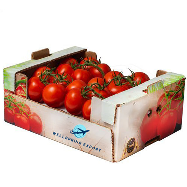 Fresh Egyptian Tomatoes (PRICE/TON)
