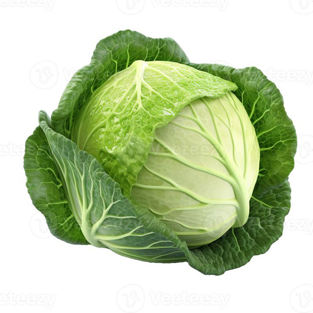 fresh Egyptian Cabbage (price/unit)