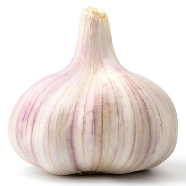 Fresh Garlic (Allium sativum) (PRICE/TON)