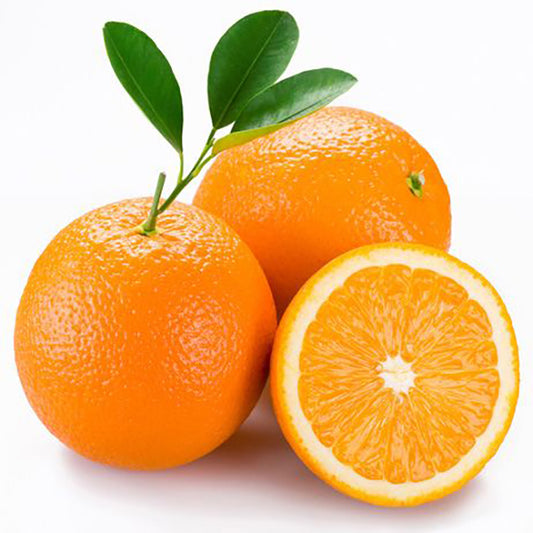 Egyptian Fresh Oranges (PRICE/TON)