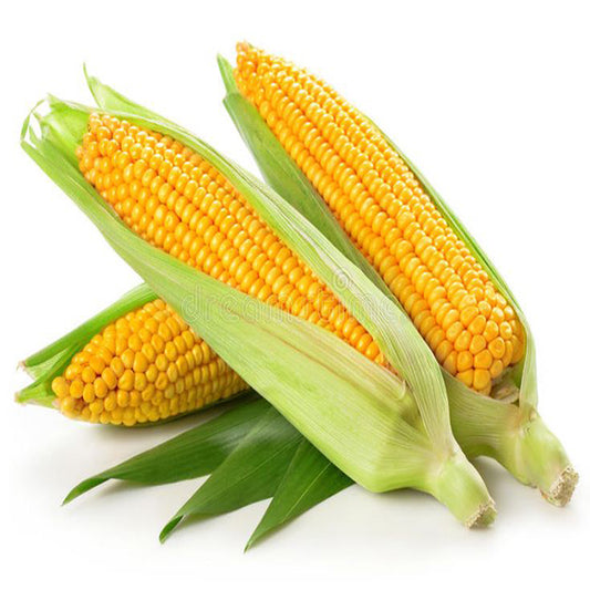 Egyptian Sweet Corn (PRICE/TON)
