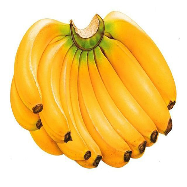 Egyptian Banana Export (PRICE /TON)