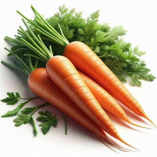 Fresh Egyptian Carrots  ( PRICE /TON)