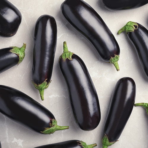 Black Baby Eggplant